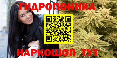 ECSTASY Тверь