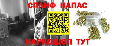 дурь Тара