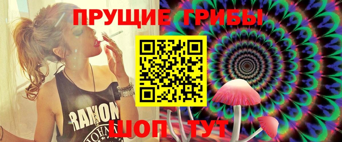 Новочеркасск  Галлюциногенные грибы Psilocybine cubensis  Вход с VPN  Галлюциногенные грибы Cubensis 