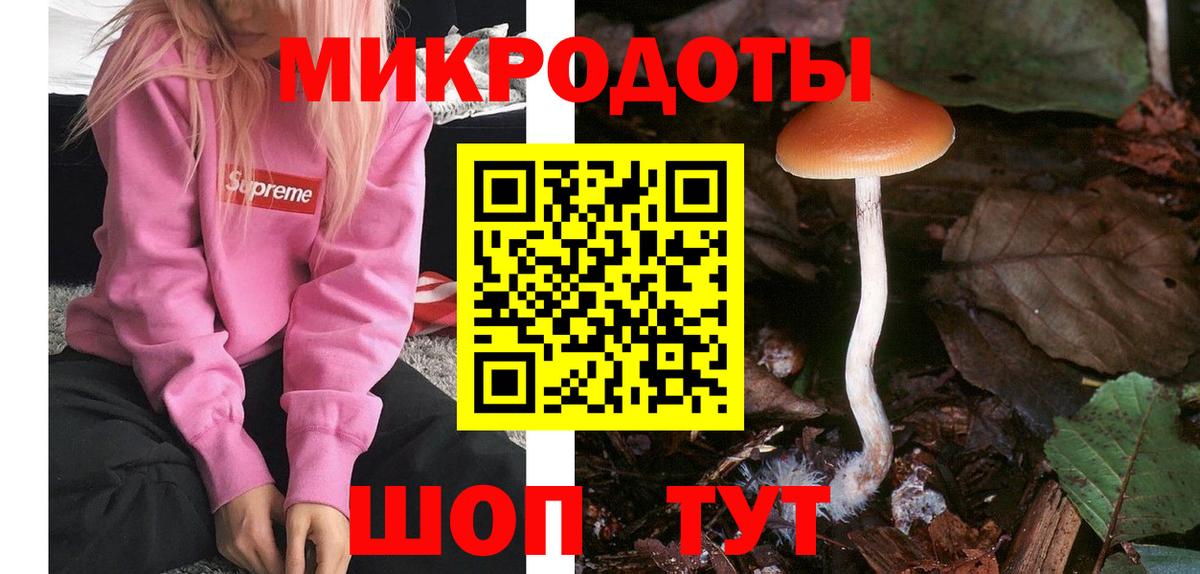 Галлюциногенные грибы прущие грибы Новочеркасск